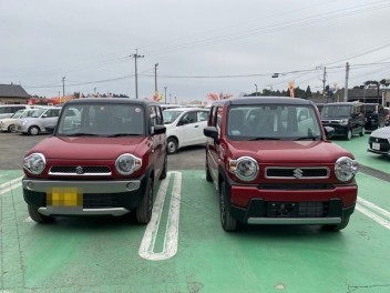 新型ハスラーの試乗車がきました！！