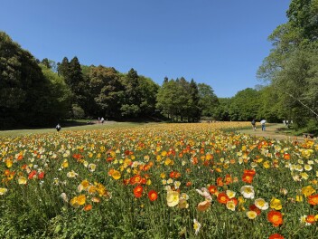 今週末まで！！！