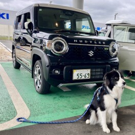 「ＧＯ！ＧＯ！！ロッキー！！！」　Tさま、ハスラーご納車♪