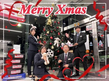 ☆クリスマスツリーを出しました☆