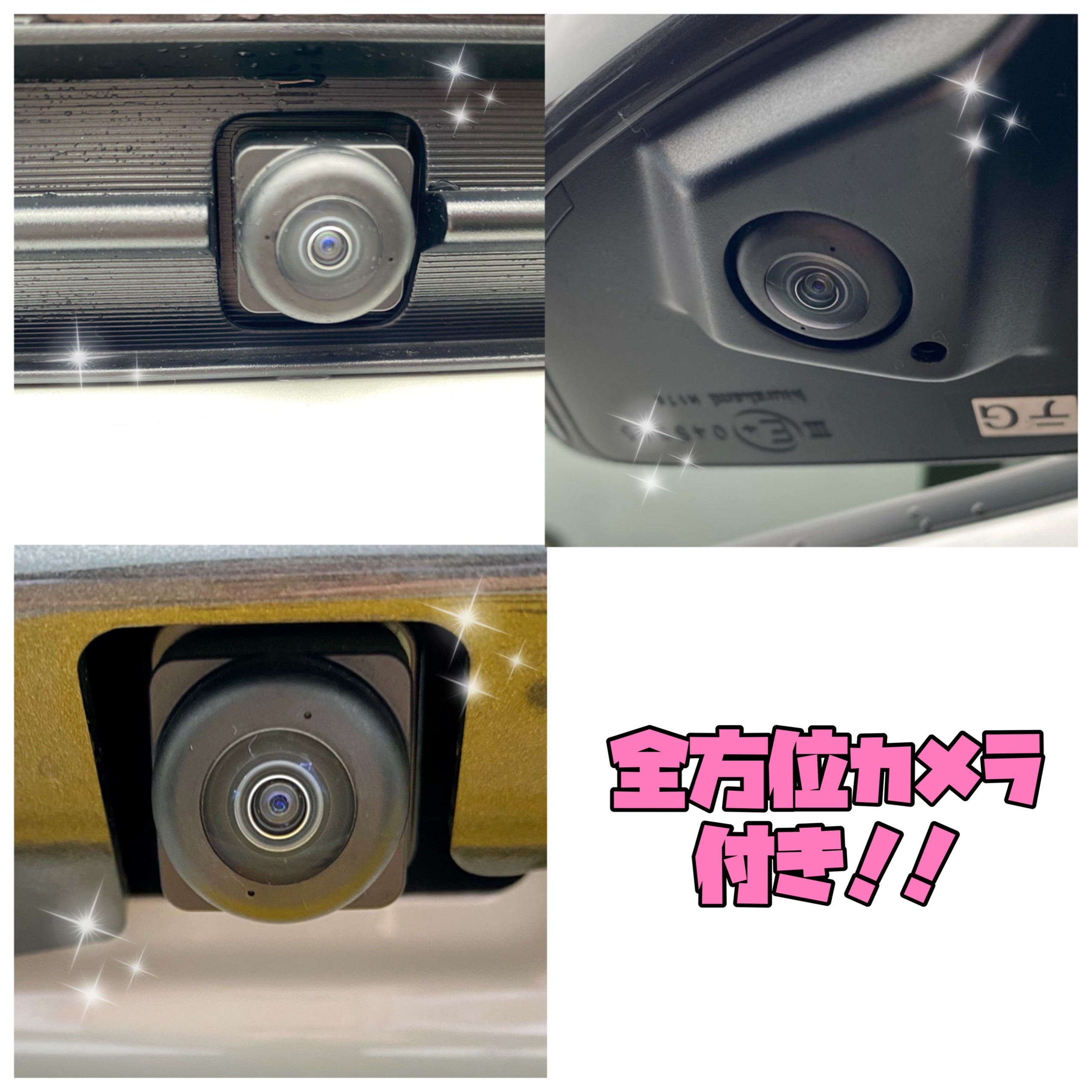 パールがカッコイイお車入荷しました 限定車 お店ブログ 株式会社スズキ自販関東 スズキアリーナ春日部中央