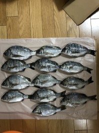 釣りに行ってきました(^^)/