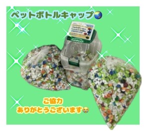 ペットボトルキャップ　たくさんありがとうございます！！