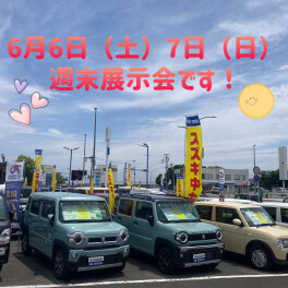 ６月６日(土)７日(日)は週末展示会です！