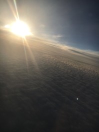 久しぶりの投稿ですm(_ _)m