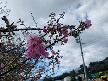 今週末はスズキの日です！！