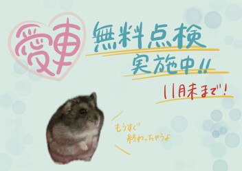 ★愛車無料点検★今月末までです！