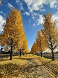 タイヤ交換はお済みですか？