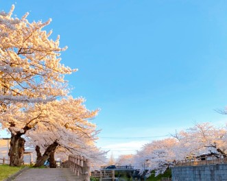 ４月の定休日のお知らせ！(´・∀・｀)ﾉ