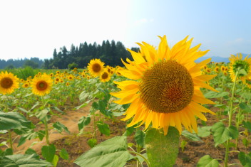 １８日から元気に営業再開！！