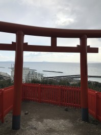 近くの神社いってきました