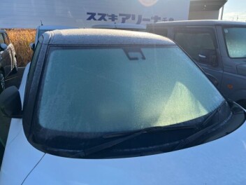 そろそろでしょうか！？