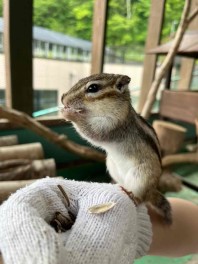 ＼動物と触れ合いました／