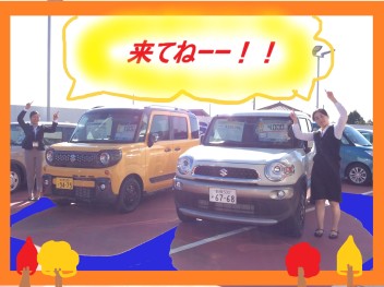 オトクな車がいっぱいです！！