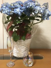 母の日(^_-)-☆