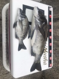 釣りシーズン到来(^_-)-☆