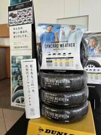 売れています！
