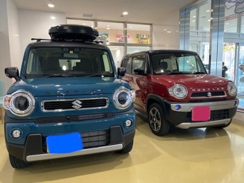 ハスラーから新型ハスラーに♥