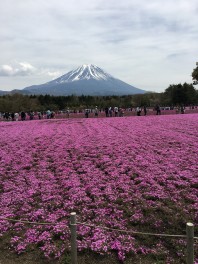 ５月です！