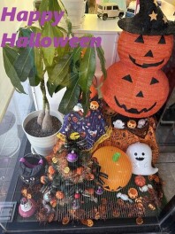 ☆　ご来店お待ちしております　☆