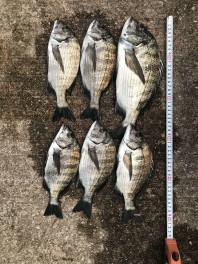釣りに行ってきました(^^)/