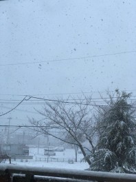 やっと雪！！