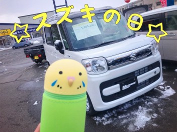 今週末はスズキの日！！！