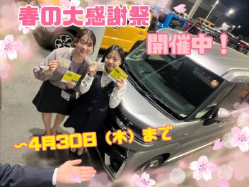 春の大感謝祭開催中！！