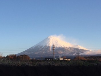 厚めのススメ