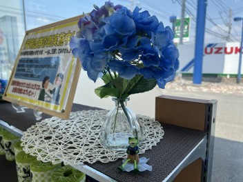 ショールームが梅雨仕様になりました！！