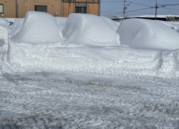 雪解けが待ち遠しい、今日この頃。