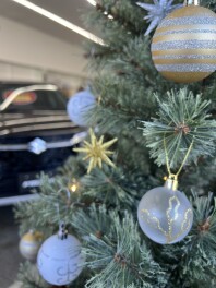 クリスマスツリーを飾りました