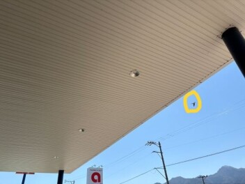 もうそんな時期です！