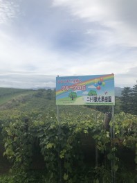 一狩り行こうぜ！