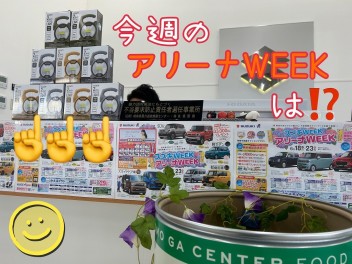 今月もアリーナウイーク