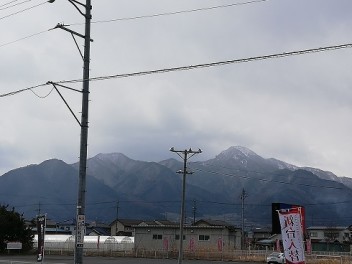 今年はなんだか