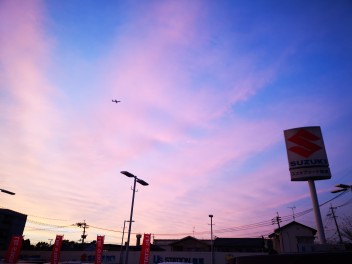 スズキと飛行機と空と。