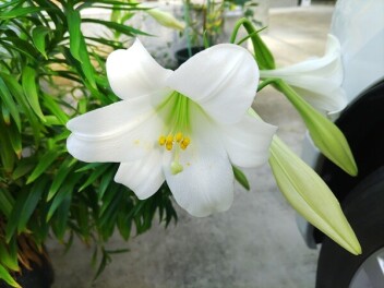 白黒つける！？(3月9日)