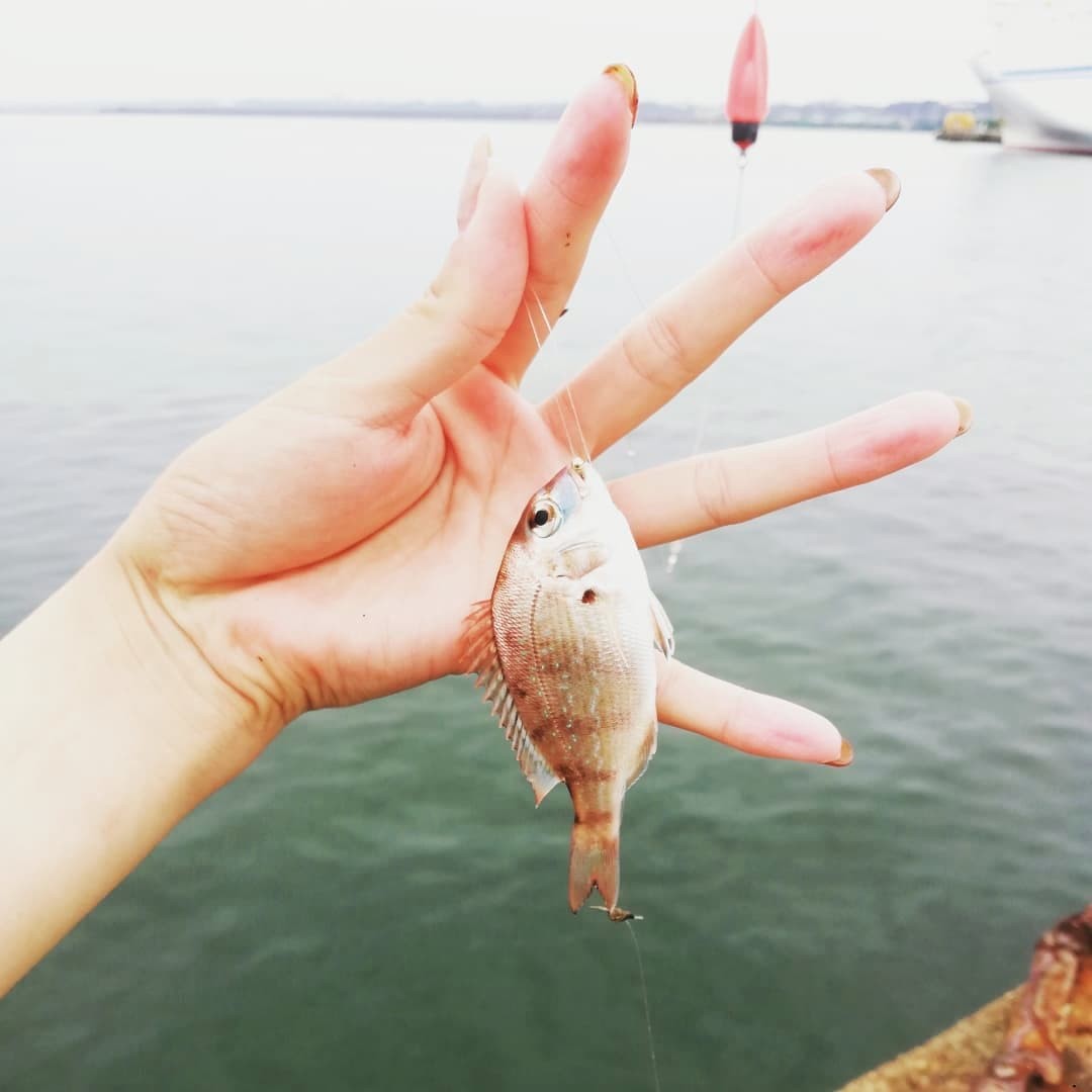 さかな