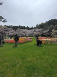 か、花粉が、、、。