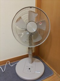 相棒といつまでも！？(10月3日)