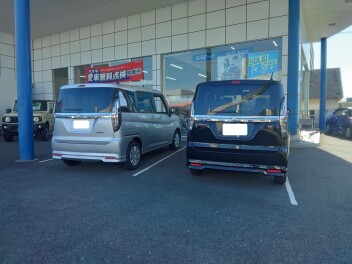 色違い　ヾ(o´∀｀o)ﾉ