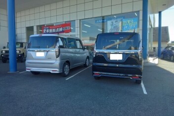 色違い　ヾ(o´∀｀o)ﾉ