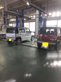 新旧ハスラー