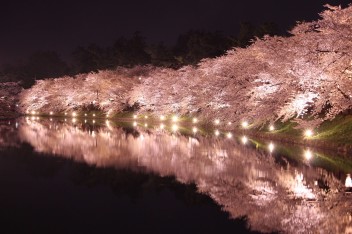 弘前の桜まつり♪
