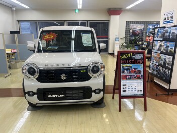 新型ハスラー！！！