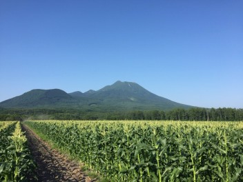 夏は嶽きみ！！