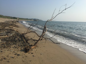 去年の思い出♪