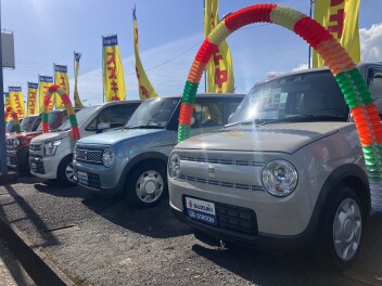 ☆★☆　中古車商談会開催！！　☆★☆