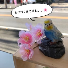 春.*･模様替えをしました！